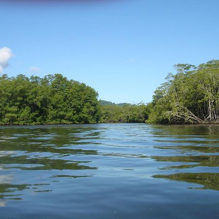 Isla Violin Eco-Lodge Дрейк Екстер'єр фото