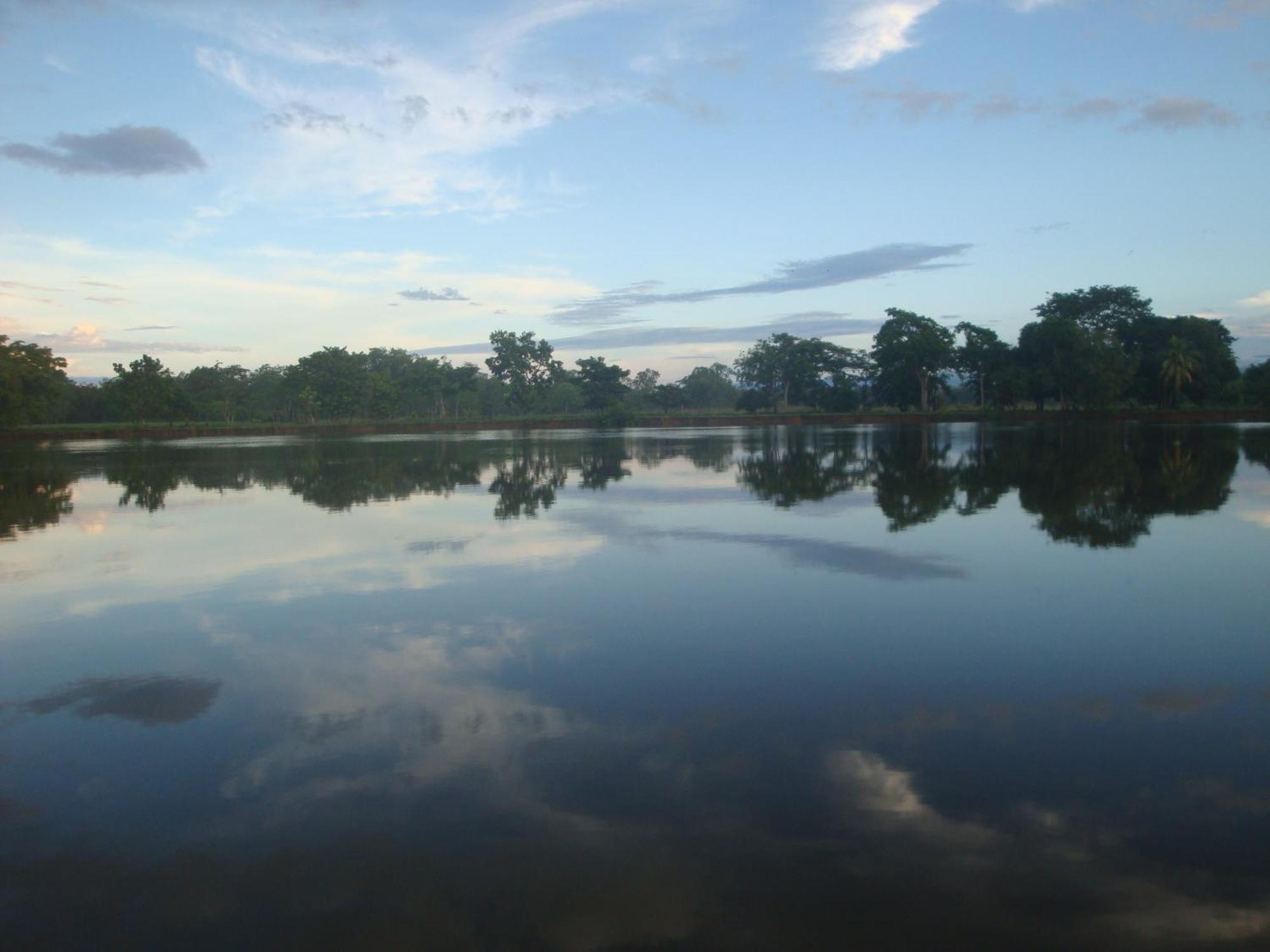 Isla Violin Eco-Lodge Дрейк Екстер'єр фото