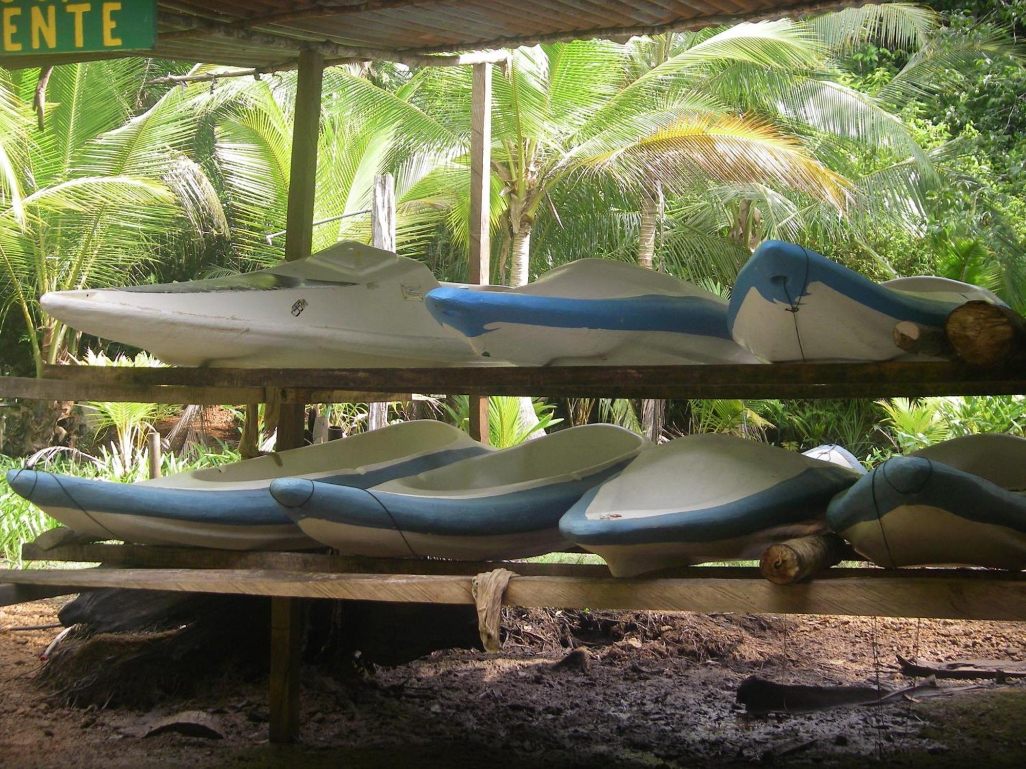 Isla Violin Eco-Lodge Дрейк Екстер'єр фото
