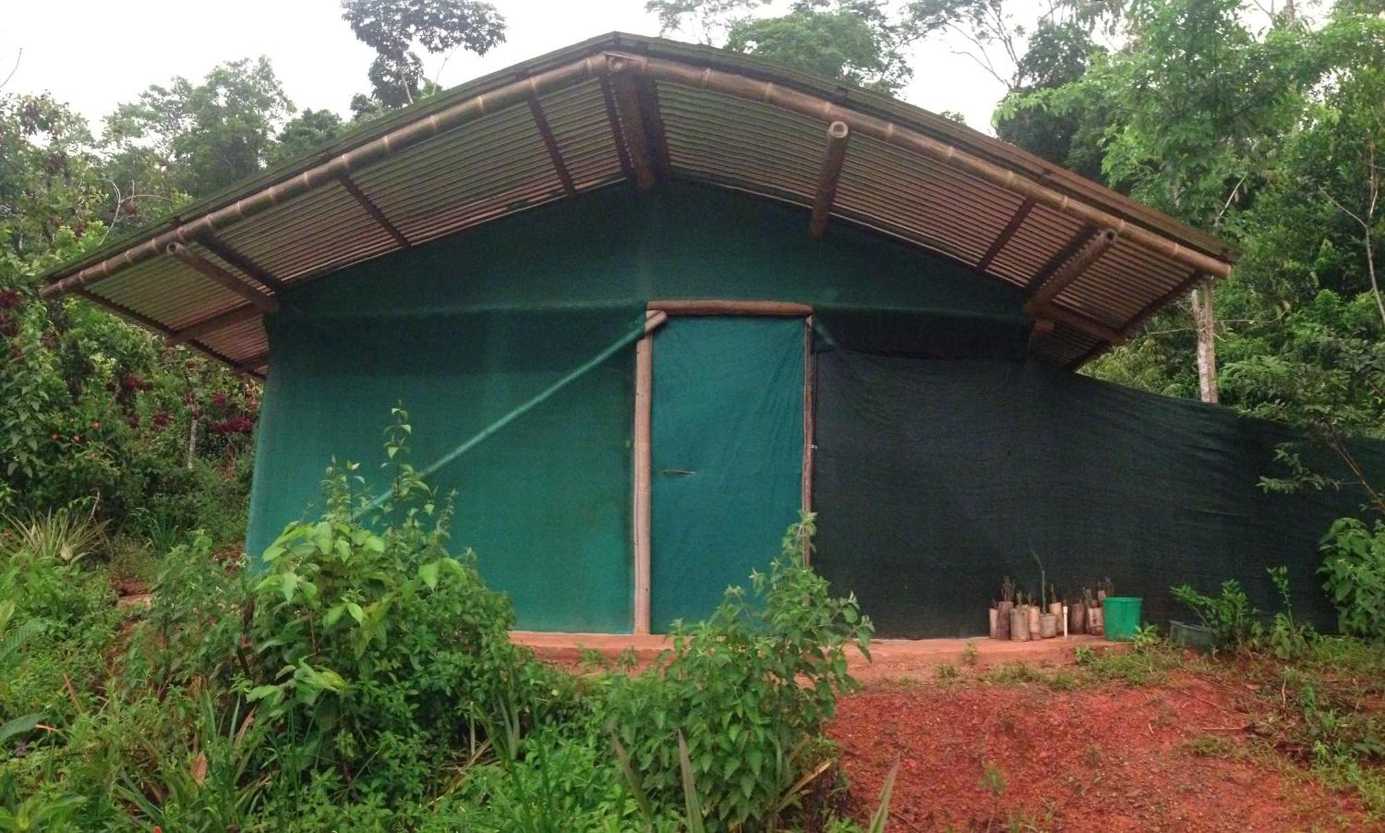 Isla Violin Eco-Lodge Дрейк Номер фото