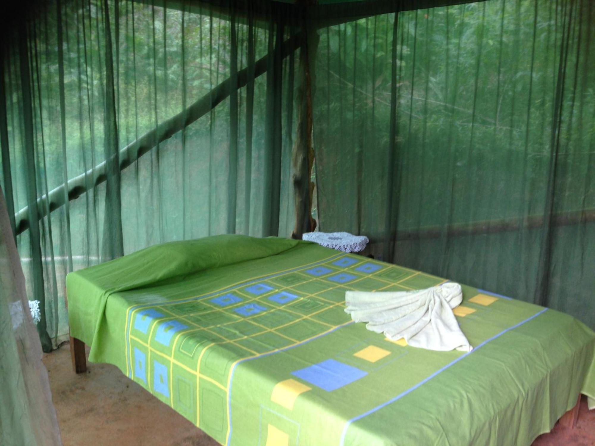 Isla Violin Eco-Lodge Дрейк Номер фото